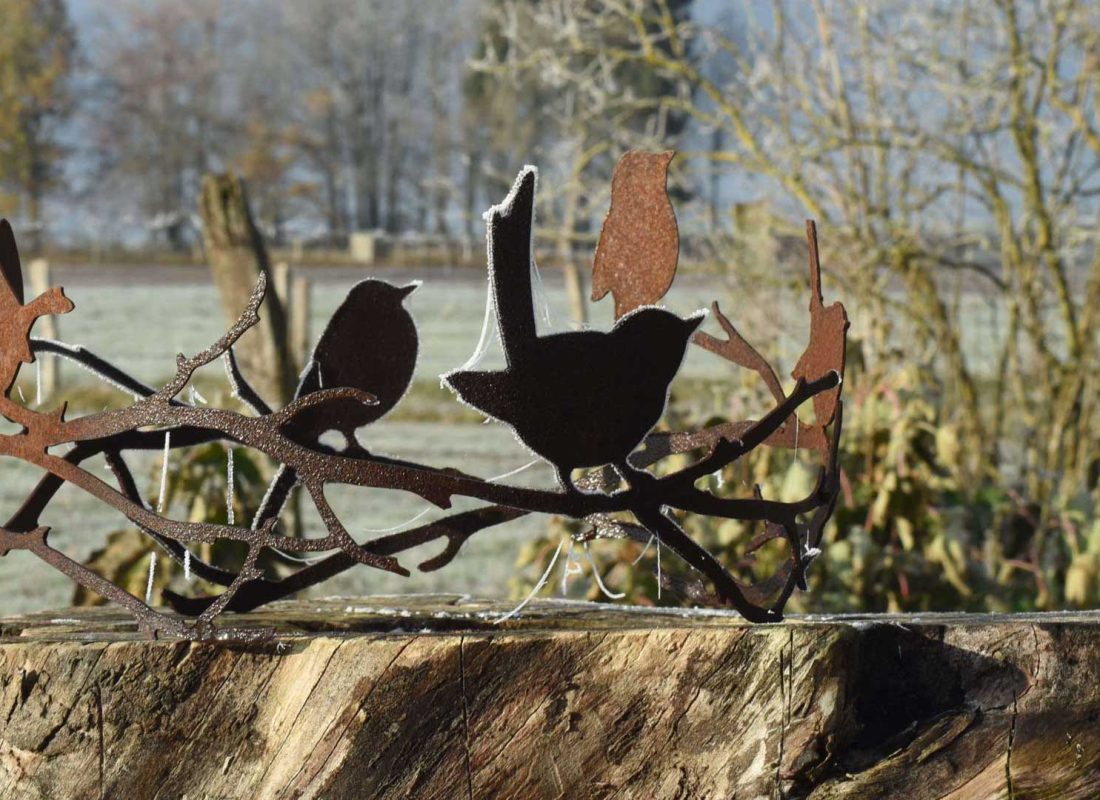 Zicht op de tuin
